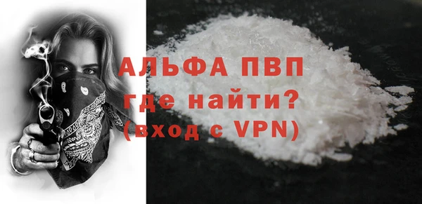 ПСИЛОЦИБИНОВЫЕ ГРИБЫ Новозыбков