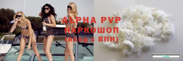 ПСИЛОЦИБИНОВЫЕ ГРИБЫ Новозыбков
