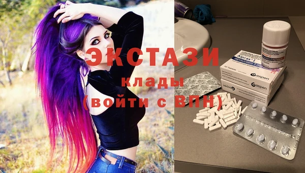 сатива Новодвинск