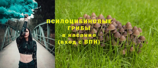 бошки Нея