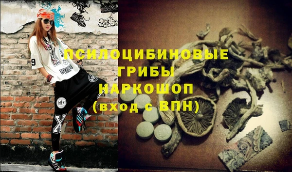 амф Нефтегорск