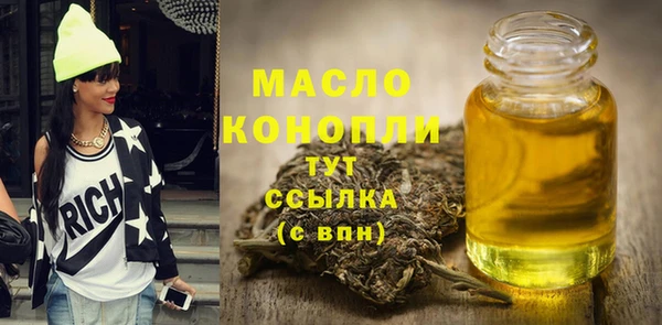 сатива Новодвинск