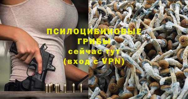 мет Нефтекумск