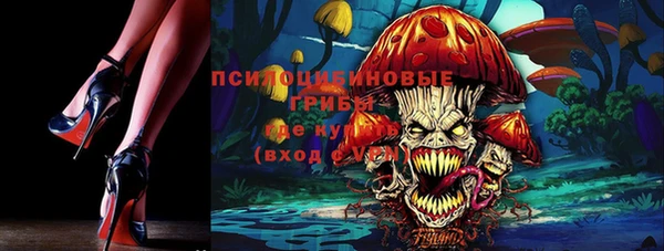 бошки Нея