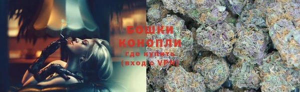 сатива Новокубанск