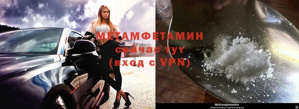 сатива Новокубанск