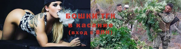 бошки Нея