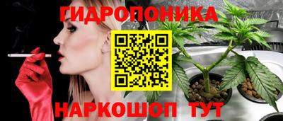 прущие грибы Заволжье