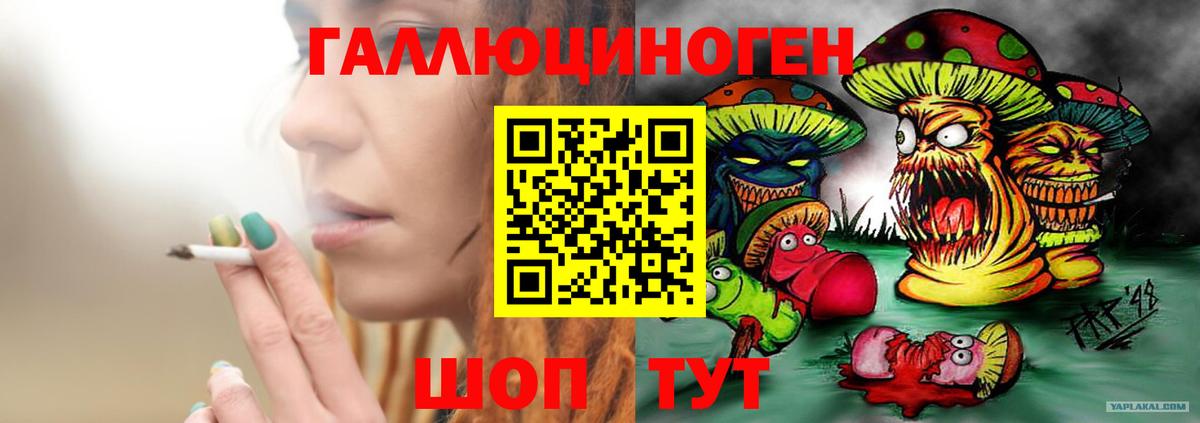 Галлюциногенные грибы Psilocybe  Галлюциногенные грибы Magic Shrooms  Вологда  Вход с VPN 
